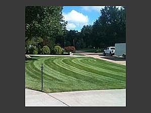 Lawn Striping, Willoughby, OH 